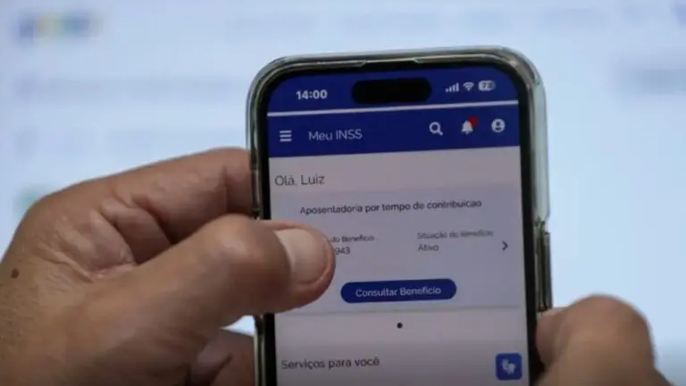 MEU INSS