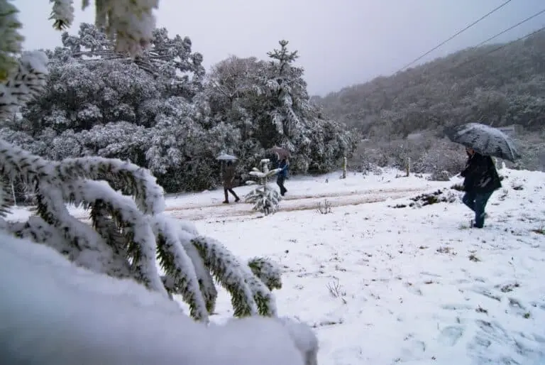 Neve