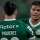 Palmeiras