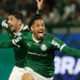 Palmeiras jogador
