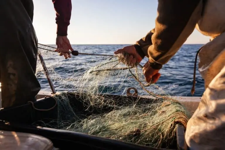 Pescador