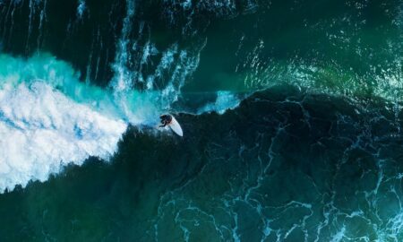 Surf