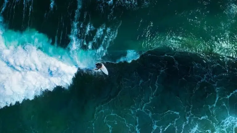 Surf