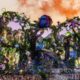 Tomorrowland Brasil,