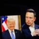 Trump e Elon Musk
