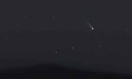 Cometa Halley