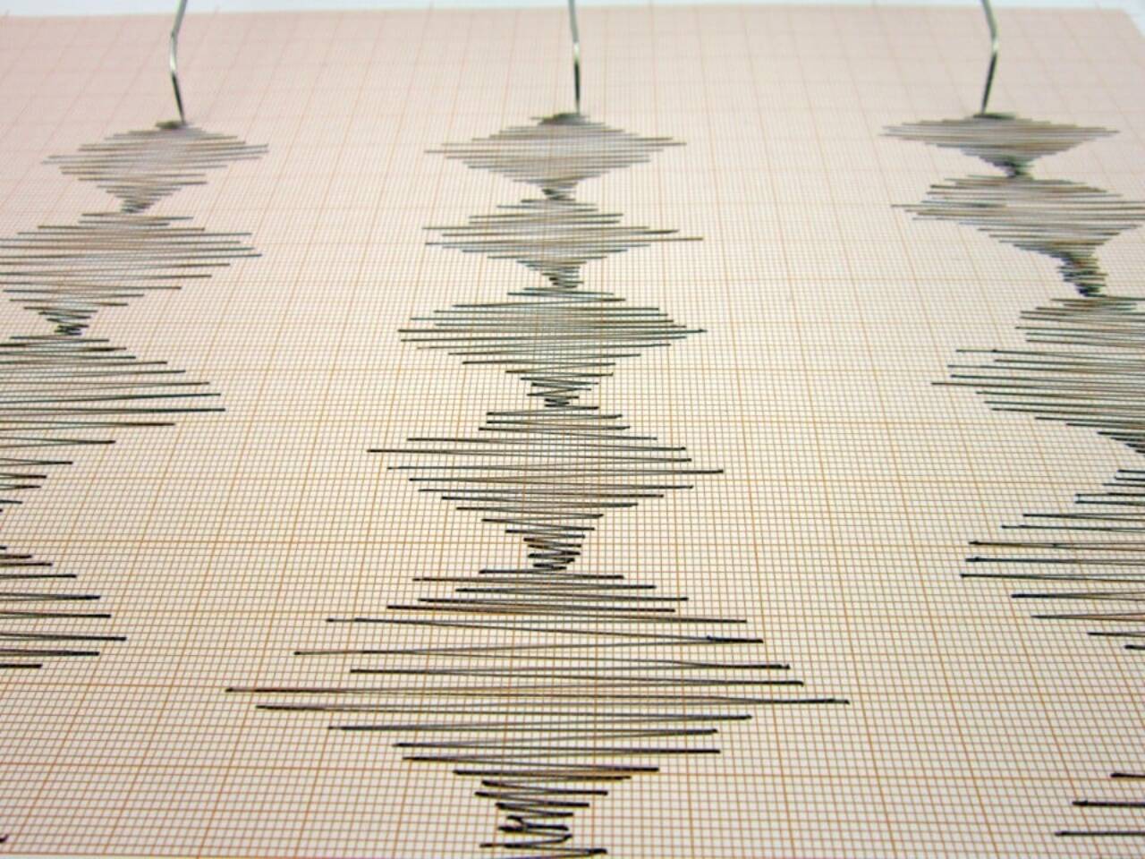 Magnitude 2.9 earthquake shakes East Bay near Union City on Thursday morning