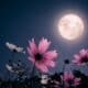 flower moon
