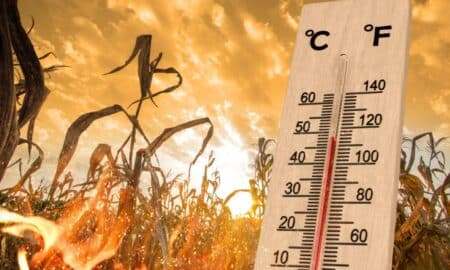 heat wave