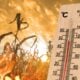 heat wave