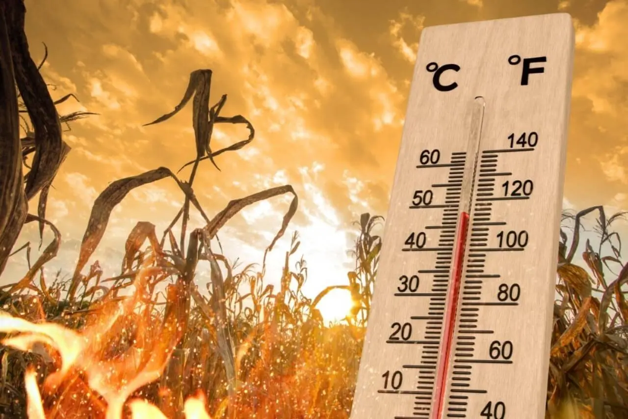 heat wave