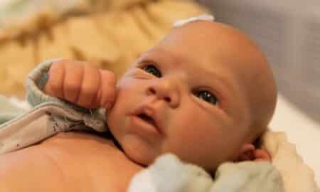 bebê reborn