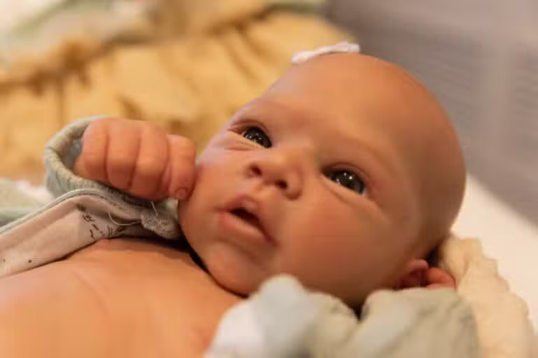 bebê reborn