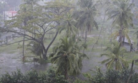 tropical storm