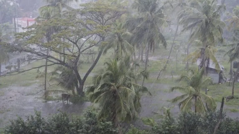 tropical storm