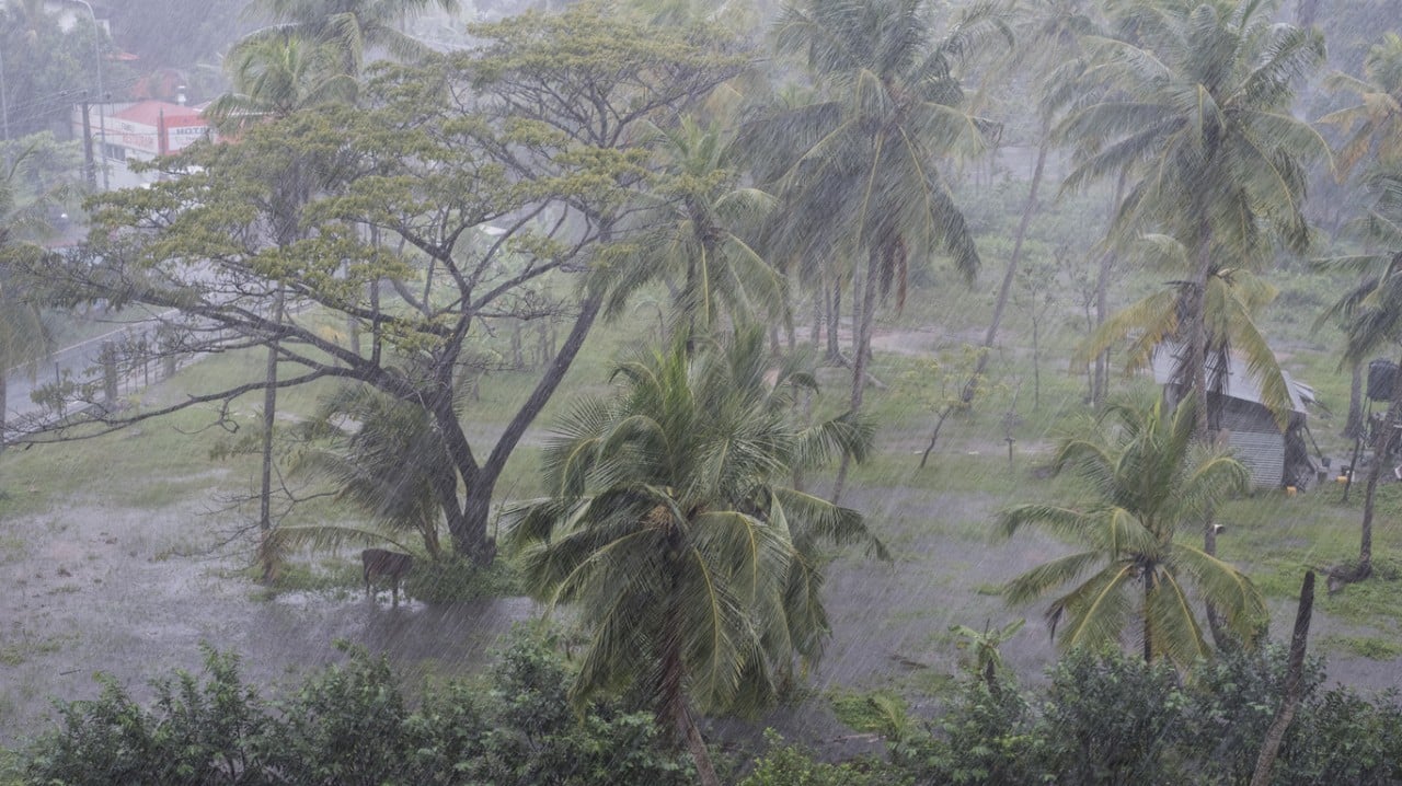 tropical storm