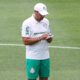 Abel Ferreira