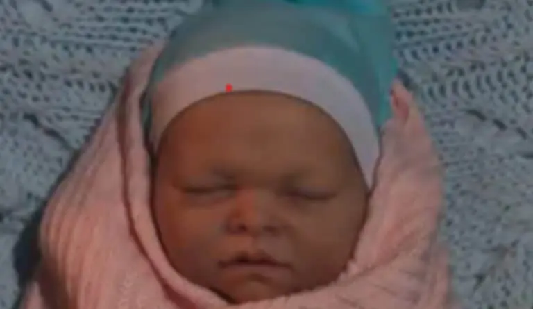 Bebe Reborn