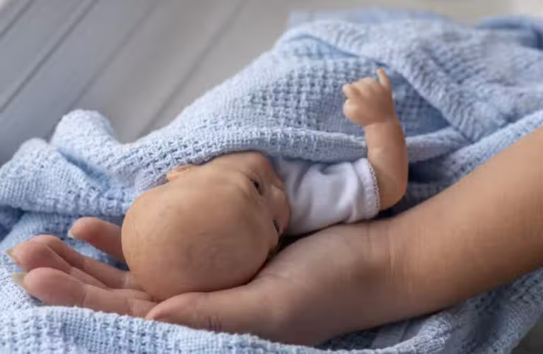 Bebe Reborn