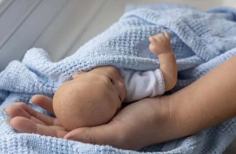 Bebe Reborn