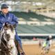 D. Wayne Lukas