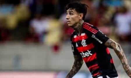 Erick Pulgar