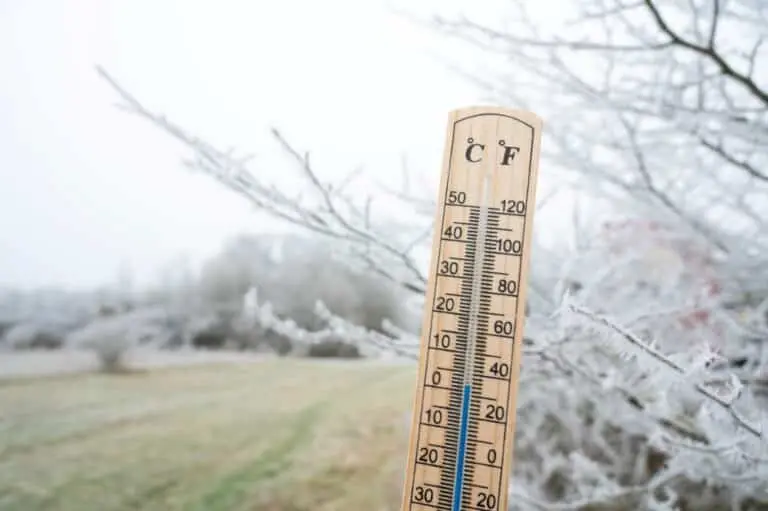 Frio