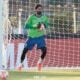 Goleiro ALisson