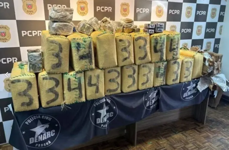 Polícia faz segunda maior apreensão de haxixe da história do Brasil em cidade da Grande Curitiba — Foto: Polícia Civil (PC-PR)