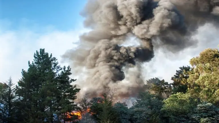 Incêndio - Foto: GomezDavid/ Istock.com
