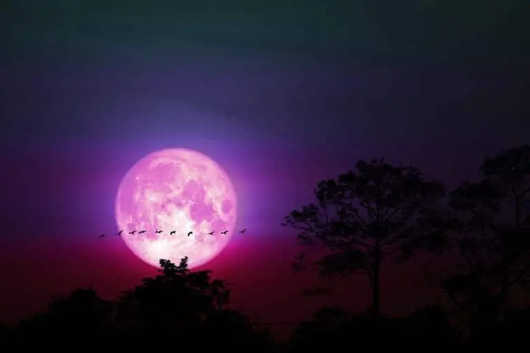 Lua Cheia de junho (Lua de Morango)