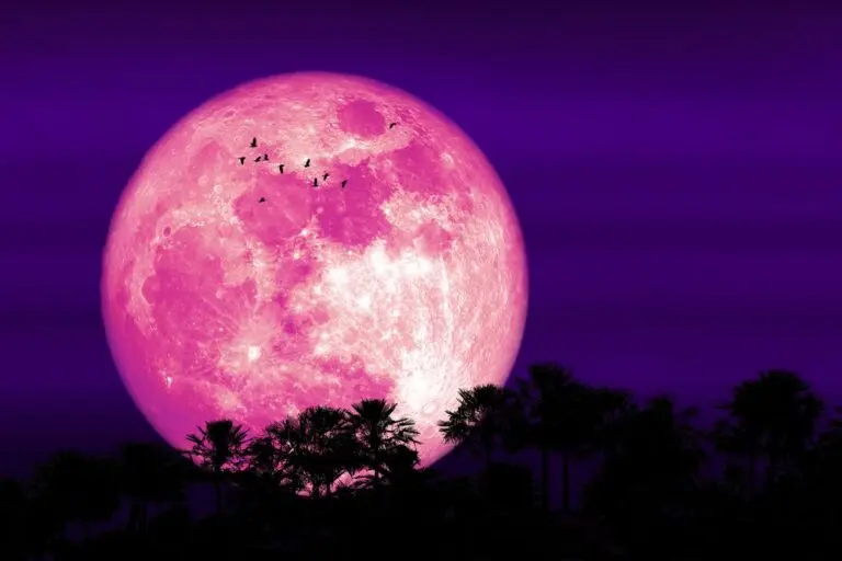 Lua de Morango