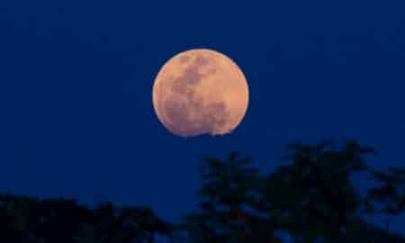Super,Blue,Blood - Lua de morango