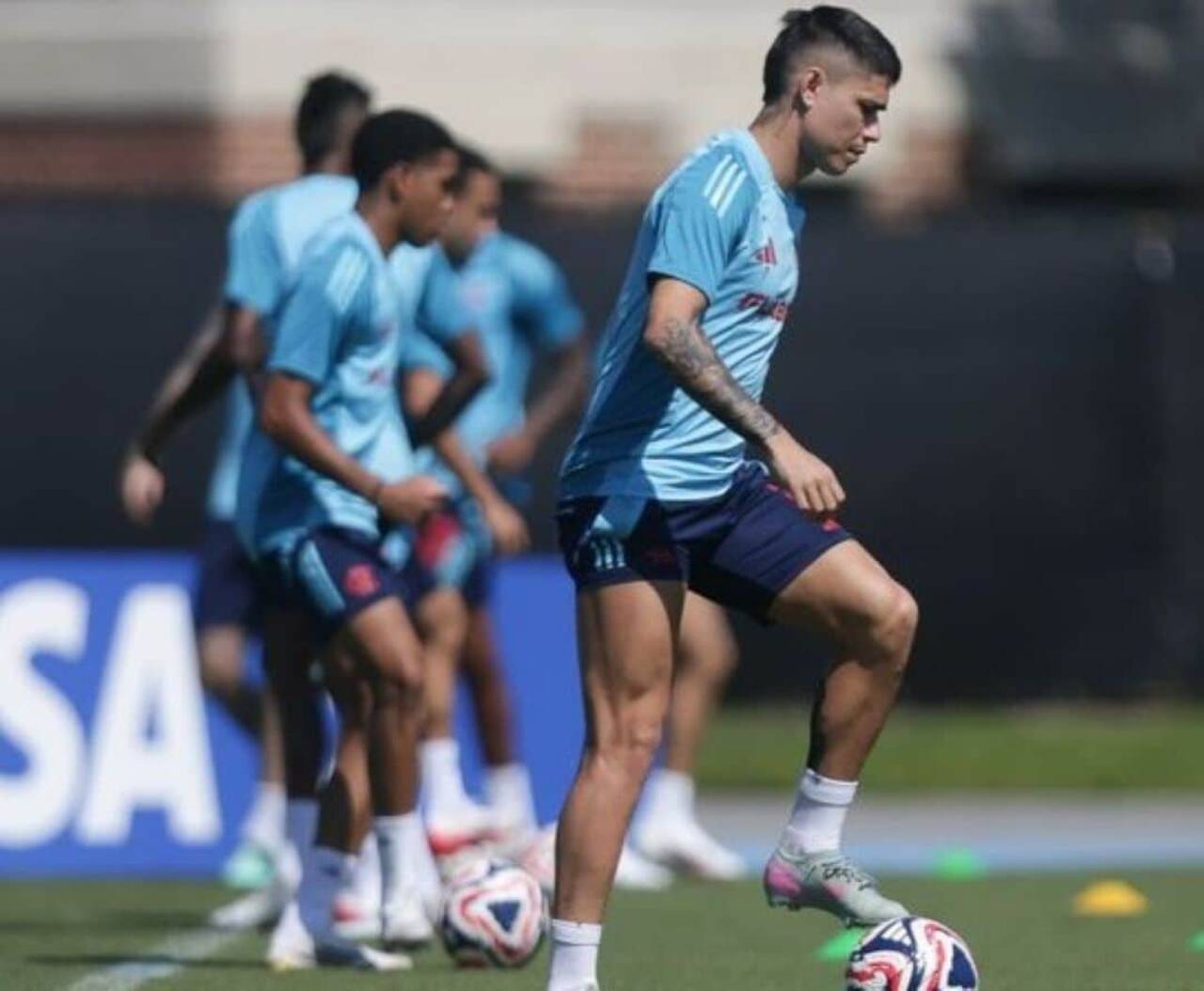 Luiz Araújo