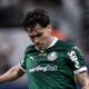 Mauricio Palmeiras