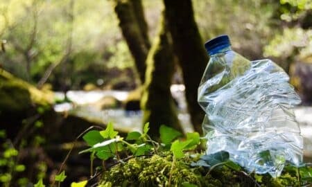Natureza Plastico