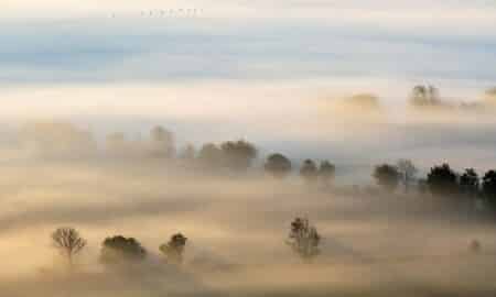 Neblina