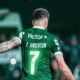 Palmeiras