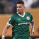 Paulinho Palmeiras