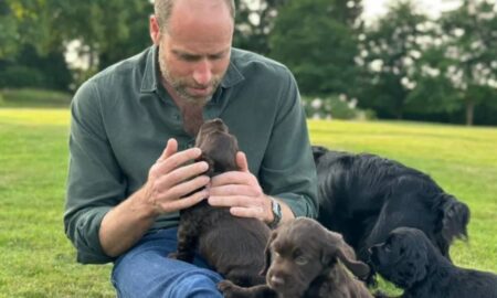 Prince William