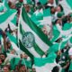 Torcida do Palmeiras