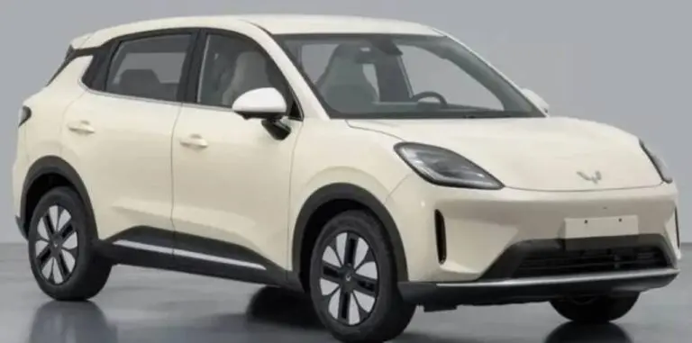 Wuling Bingo S 3