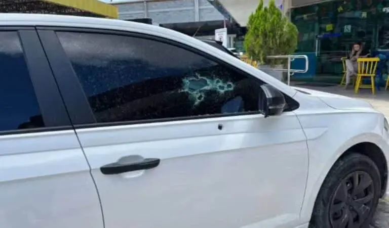 carro bebe 8 meses