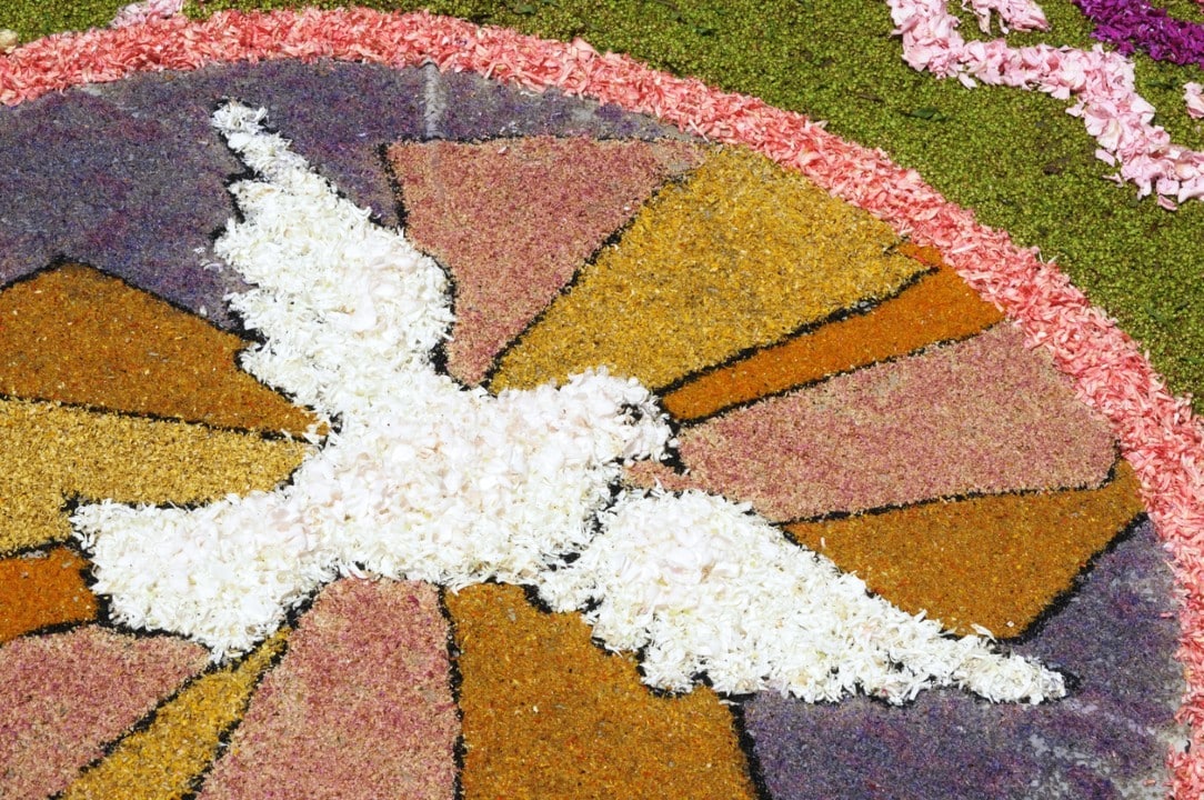 corpus christi