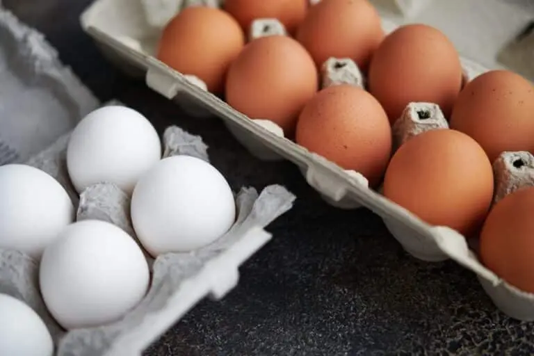 eggs