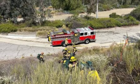 fire department