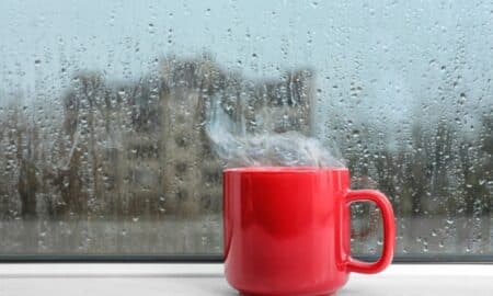frio
