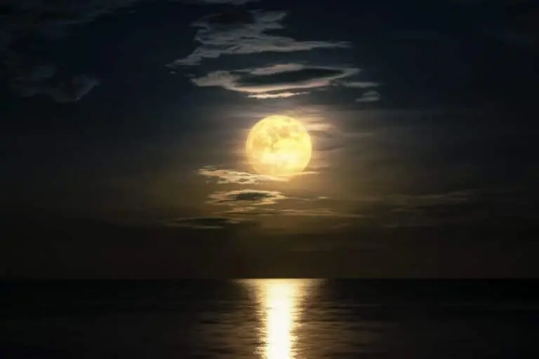 Full Moon