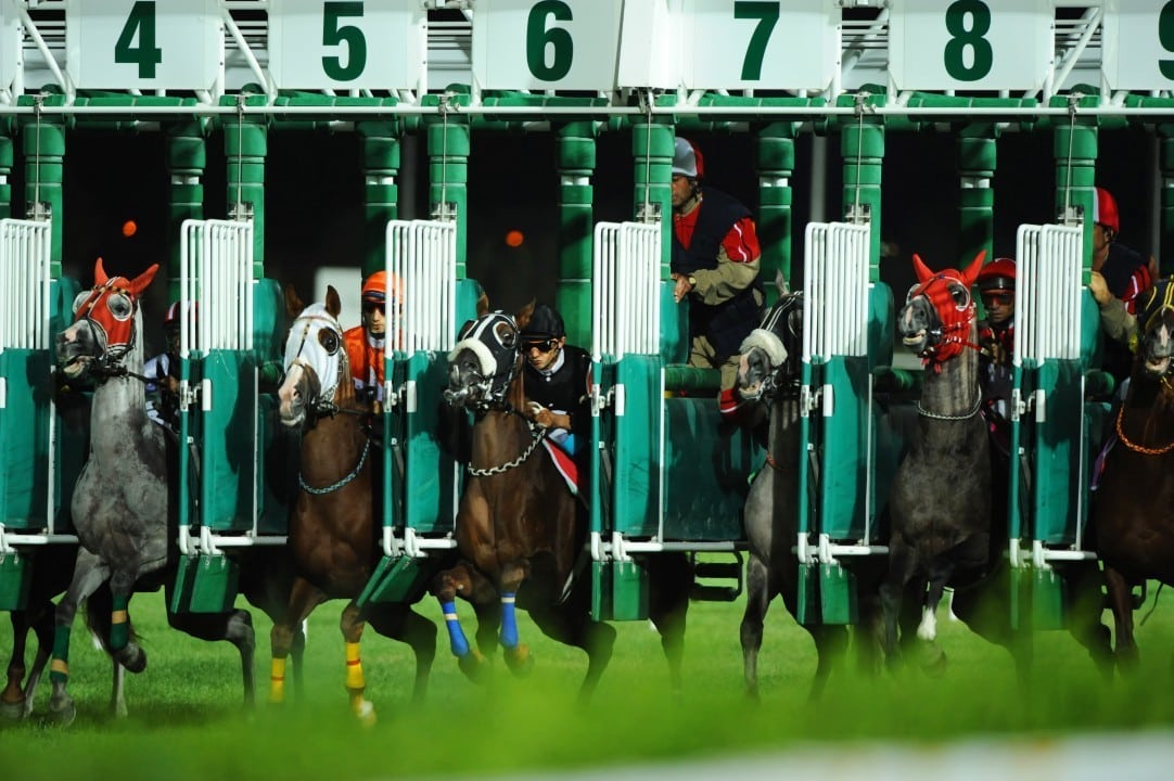 Horse racing