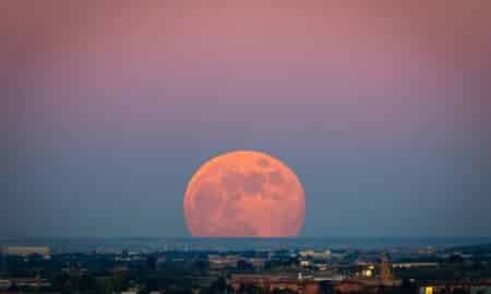 Lua morango